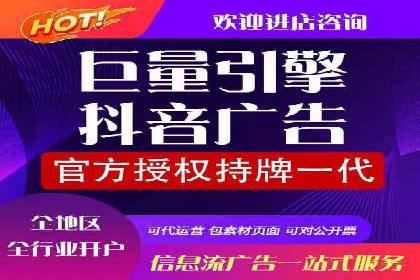 SEM服务公司经典案例集锦