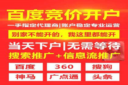SEM广告投放案例：揭秘高转化率秘诀