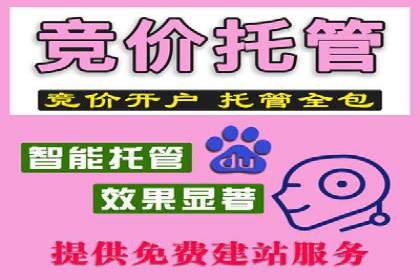 SEM托管公司成功案例：助力企业品牌提升