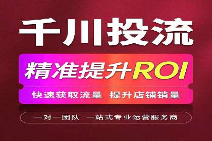 解析sem代运营公司经典案例：如何实现ROI最大化